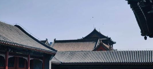 沈陽故宮好玩嗎,沈陽故宮景點(diǎn)怎么樣_點(diǎn)評_評價【攜程攻略】