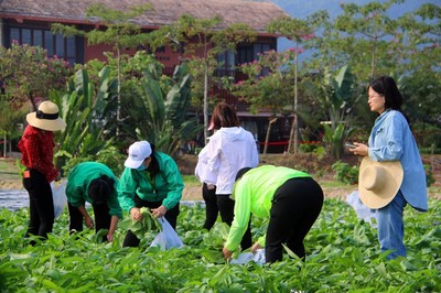 水稻國家公園旅游標(biāo)準(zhǔn)化專項(xiàng)工作簡報第一期