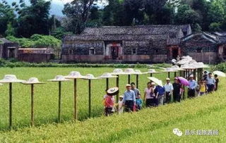 開發(fā)鄉(xiāng)村旅游,應(yīng)關(guān)注這四類產(chǎn)品