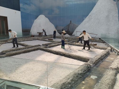 好客山東 百團山東行——濱州無棣站活動啟動，園區(qū)管理服務協(xié)同助力