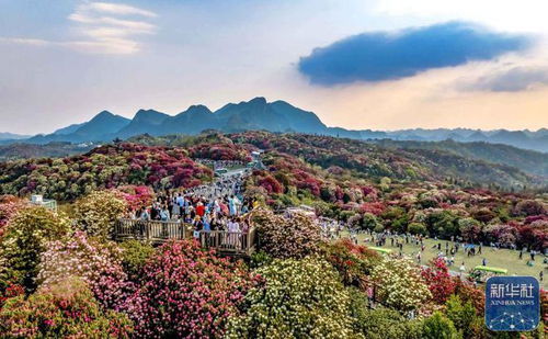 詩意中國丨春日上春山 文旅融合背景下的景區管理新思考
